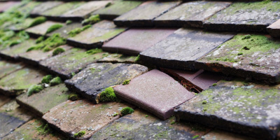 Twyford roof repair costs